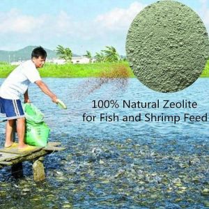 Zeolite Powder For Pond Fresh