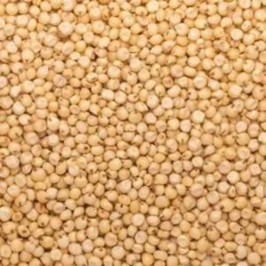 Whole Jowar Seeds