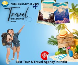 domestic travel agency