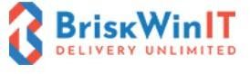 BriskWin IT Solutions