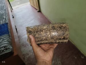 Soyabean biomass Briquette