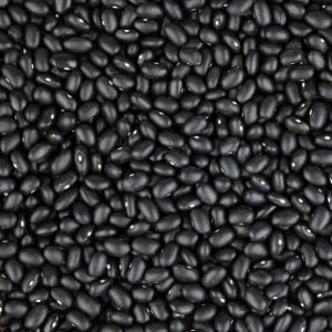 Black Kidney Beans