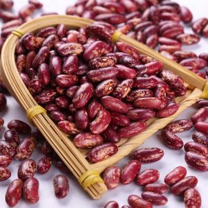 Kidney Beans