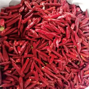 red chilli