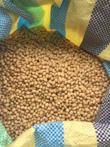 TOP GRADE SOYBEANS SEEDS