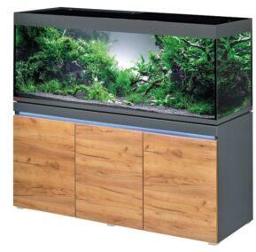 Fish Aquarium