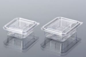 100CC Pet Container Rectangle