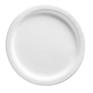 6 Plain Biodegradable Paper Plates
