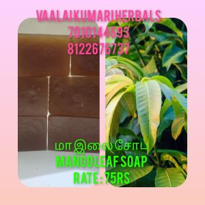 MANGO LEAF Herbal soap
