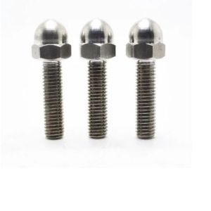 Stainless Steel Dome Bolt
