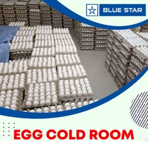 Blue Star Cold Room Installation Services