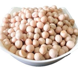 White Dried Pea Beans