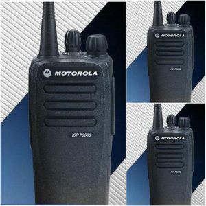 Motorola Digital Walkie Talkie