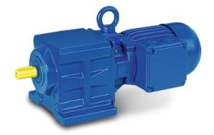 electric gear motor