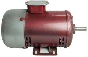 Electric Induction Motor