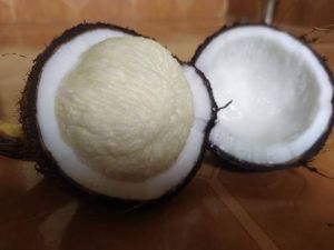 coconut flower