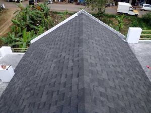 Asphalt Roofing Shingle