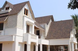 Asphalt Roofing Shingle