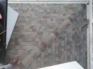 Asphalt Roofing Shingle