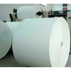 PE Coated Paper Roll