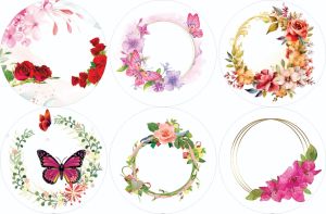 Multicolor Printed Paper Plate Raw Material