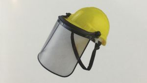 White Face Shield