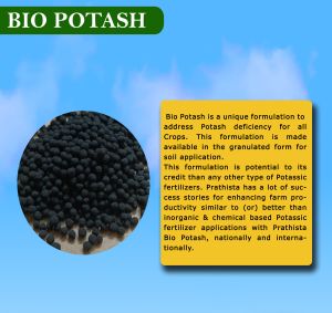 Bio Potash Granule