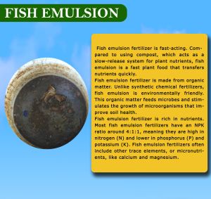 Fish Emulsion Liquid Fertilizer