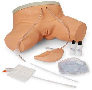 Female Catheterization Training Simulator