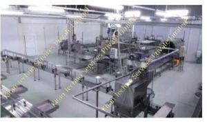 vegetable processing plant