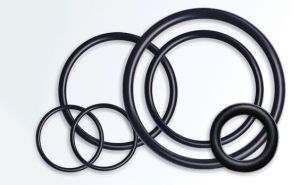 EPDM O Ring