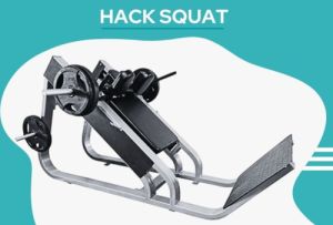 Hack Squat