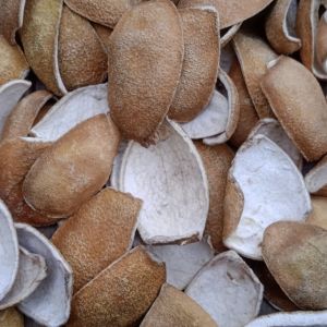 Dry Orange Peel