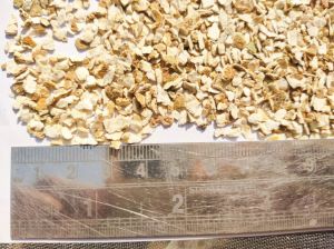 Dry Orange Peel