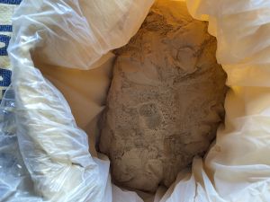 Seedless Amla Powder