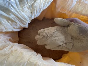 Seedless Amla Powder
