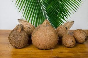 A Grade Fresh Coconut