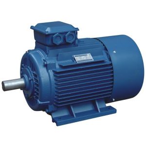 Electric Motor