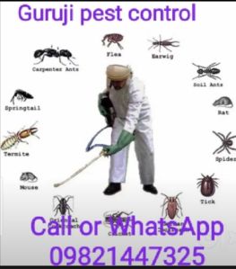 Cockroach Control Treatment