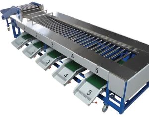 Roller Size GradingMachine