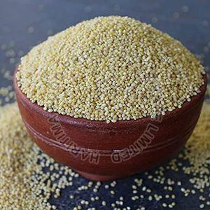 Small Millet Seed