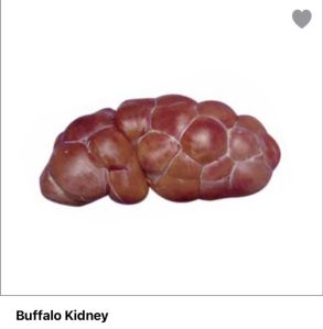 Buffalo Kidney Meat