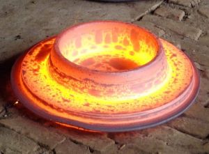 Hot Forged Flanges