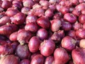 Fresh Pusa Red Onion