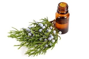 Juniper Berry Oil