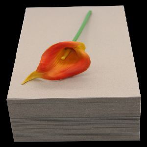 Paper Boards