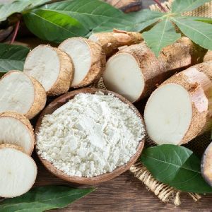 Tapioca Starch