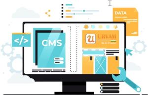 cms website development services