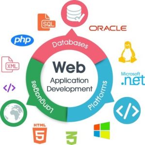 web application development service