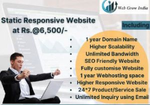 Professional Website Design service